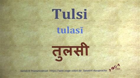 tulsi pron|How to Pronounce Tulsi .